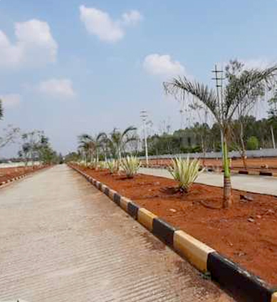 prestige-pinewood