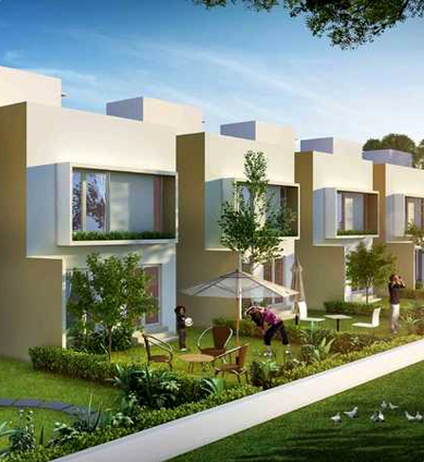 prestige-pinewood